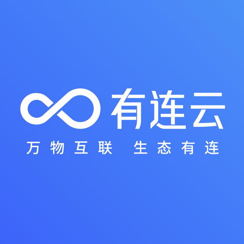 連云信息服務上海有限公司 科技賦能，領航區域信息新未來